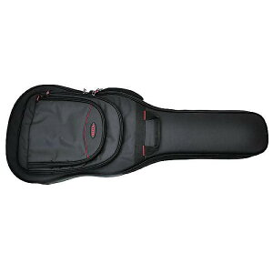 Access Bags and Cases ( ANZX ) / Stage Three Electric Guitar