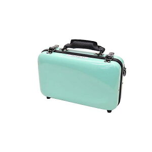 C.C.VCj[P[XII ( V[EV[EVCj[P[XII ) / NlbgP[X ~j pXeO[