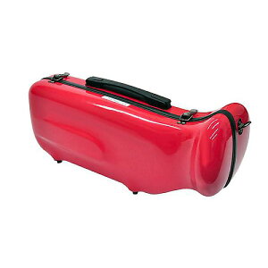 C.C.VCj[P[XII ( V[EV[EVCj[P[XII ) / gybgP[X bh