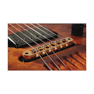 L.R.Baggs ( �G���A�[���o�b�N�X ) / T-Bridge gold�ċx�X�y�V����