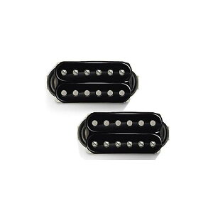 Bare Knuckle Pickups ( xAibNsbNAbvX ) / Nailbomb AlnicoV Set Black 50mmċx݃Z[
