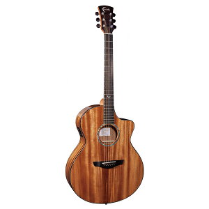 Faith(フェイス) / FNCE-HM アコースティックギター新生活応援