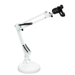 PLATINUM / MPS1 WT(zCg)X}zX^h
