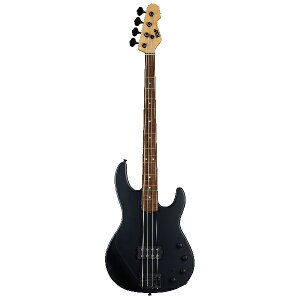 ESP(C[GXs[) / AP@R/BKS@Black Satin Rosewood FB- GLx[X