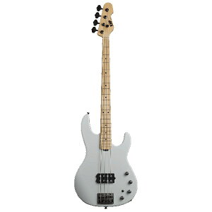 ESP(C[GXs[) / AP@M/SW@Snow White Hard Maple FB- GLx[X