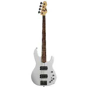 ESP(C[GXs[) / AP-SL R/SW Snow White Rosewood FB - GLx[X