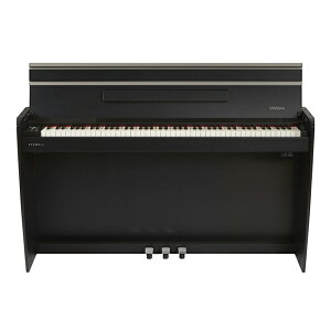 Dexibell(�f�L�V�[�x��) / VIVO H10 Black (88��) - �z�[���s�A�m - �V��������