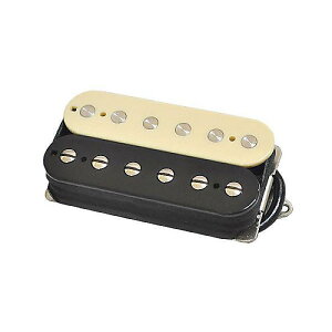 SUHR ( �T�[ ) / SSV BRIDGE ZEBRA�ċx�X�y�V����