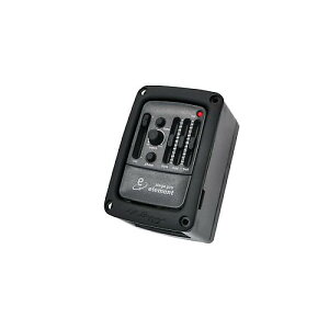 L.R.Baggs ( �G���A�[���o�b�N�X ) / Stagepro Element�ċx�X�y�V����