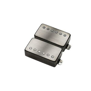 EMG ( �C�[�G���W�[ ) / JH James Hetfield Set Long Shaft Brushed Black Chrome�ċx�X�y�V����