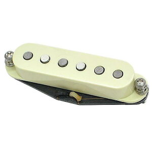 SUHR ( �T�[ ) / V63+ Bridge Aged Green(ML)�ċx�X�y�V����