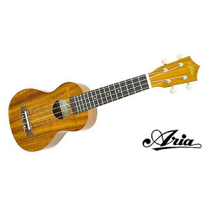 ARIA ( AA ) / AU-1KG@\vmENċxXyV