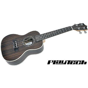 PLAYTECH ( vCebN ) / PUK350 Concert Rosewood RT[gENċxXyV