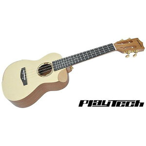 PLAYTECH ( �v���C�e�b�N ) / PUK404�ċx�X�y�V����