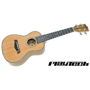 PLAYTECH ( �v���C�e�b�N ) / PUK405�ċx�X�y�V����