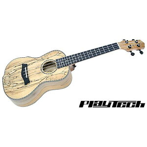 PLAYTECH ( vCebN ) / PUK403ċxXyV