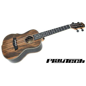 PLAYTECH ( �v���C�e�b�N ) / PUK401�ċx�X�y�V����