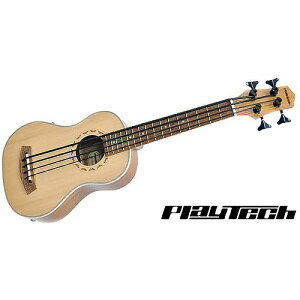 PLAYTECH ( �v���C�e�b�N ) / PUB500�ċx�X�y�V����