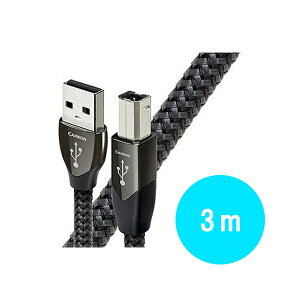 AudioQuest(I[fBINGXg) / USB 2.0 CARBON (3m / Type-A to Type-B) I[fBIO[hUSBP[uċxXyV