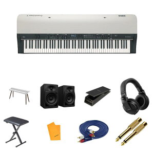 8Tt ypX^h+PioneerXs[J[Zbg(DM-40D)zKorg(RO) / GS-X_ST-WGS_DM-40DOp9_setċx݃Z[