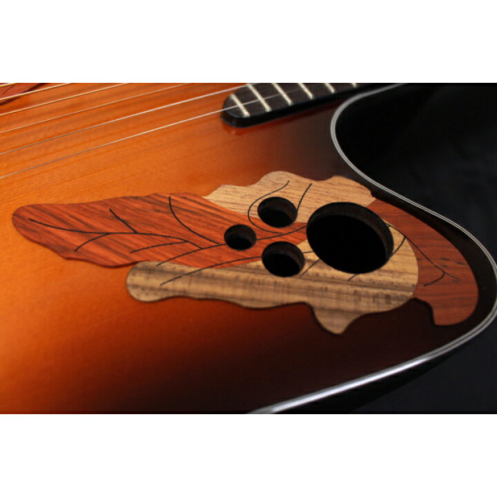 楽天市場】新品 Ovation(オベーション) / CE44-1-G SB エレクトリック 