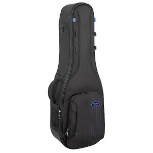 REUNION BLUES ( jIu[X ) / RBC232E / RB Expedition Double Electric Guitar CaseċxXyV