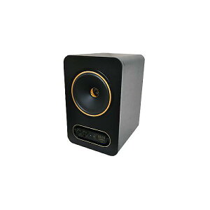 TANNOY ( ^mC ) / GOLD 8ċxXyV