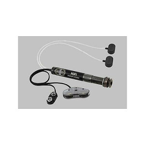 L.R.Baggs ( �G���A�[���o�b�N�X ) / HiFi�ċx�X�y�V����