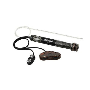 L.R.Baggs ( �G���A�[���o�b�N�X ) / Element Active System VTC�ċx�X�y�V����