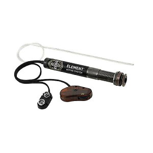 L.R.Baggs ( �G���A�[���o�b�N�X ) / Element Active System�ċx�X�y�V����