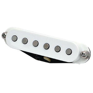 SUHR ( �T�[ ) / V63+ Neck White(ML)�ċx�X�y�V����