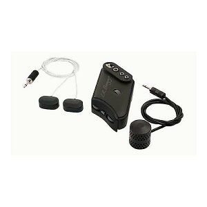 L.R.Baggs ( �G���A�[���o�b�N�X ) / HiFi DUET�ċx�X�y�V����