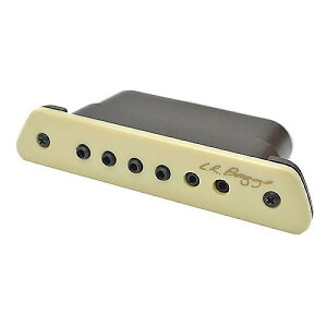 L.R.Baggs ( �G���A�[���o�b�N�X ) / M1 Passive Soundhole Pickup�ċx�X�y�V����