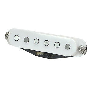 SUHR ( �T�[ ) / V63+ Middle Parchment(ML)�ċx�X�y�V����