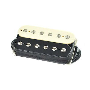 SUHR ( �T�[ ) / SSV BRIDGE ZEBRA 50mm�ċx�X�y�V����