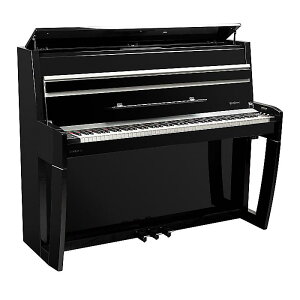 Dexibell(�f�L�V�[�x��) / VIVO H10V / �z�[���s�A�m�N���X�}�X �Z�[��