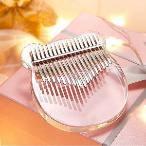 Jo 17̓ȃANsAm,i̖ؐ}zKj[y,AtJ|sAm| / Janet Skiffer