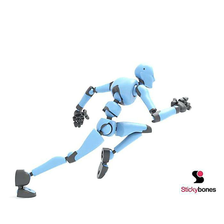 楽天市場】Stickybones(スティッキーボーンズ)Fly-Rig 付きセット  
