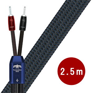 AudioQuest(I[fBINGXg) / Thunderbird BASS (2.5m) Xs[J[P[uo^C Z[