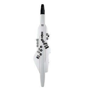 Tt Roland([h) / AE-20W / Aerophone GAtHy2023N318znEB[Z[/nEBObY