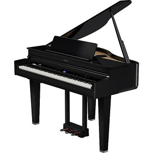 Roland(���[�����h) / GP-6 (�u���b�N) / �f�W�^���E�O�����h�s�A�m �y2023�N3��24�������z�u���b�N�t���C�f�[