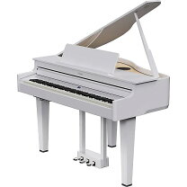 楽天市場】roland gp607-pwsの通販