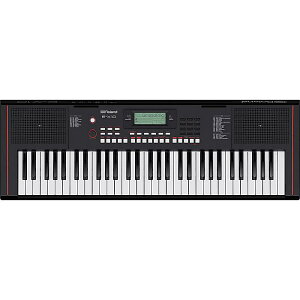 Roland([h) / Arranger Keyboard E-X10 - L[{[h -nEB[Z[/nEBObY