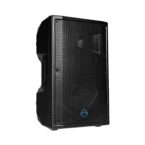 Wharfedale Pro(���[�t�f�[�� �v��) / Tourus-AX12 �p���[�h�X�s�[�J�[(�A���v����)