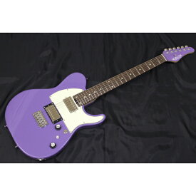 【地域限定販売・新品】SCHECTER(シェクター) / KR-24-2H-FXD-MH VP/R エレキギター【東海エリア2本】夏休みセール