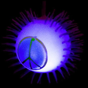 LEDs[X}[N胈[[ S{[ (J[:p[v) / XgX p[eB Cxg a v[ 