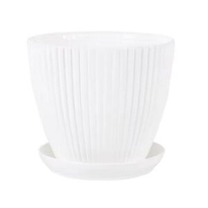 gCtv^[ vX`bN /O Aؔ A ~ X^CbV (zCg/L)ċxXyV