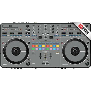 12inch SKINZ / Skinz (GRAY) yPioneer DDJ-REV5pXLz