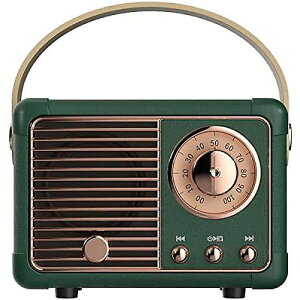 Baolira Retro Bluetooth Speaker�ċx�X�y�V����