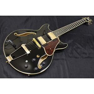 Vi Ibanez(ACoj[Y) / Artcore Expressionist / AMH90 BK GLM^[ tARV